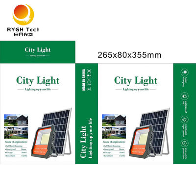 Hoge Mast 100W/200W/300W Led Solar Schijnwerper voor Tuinpaden en Parkeerplaatsen