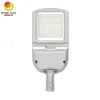 Rygh 250W LED-lichten Alumbrado Publico PARA Exterior 250W 30000lm - 42000lm