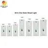 Overheidsproject 8m 9m Complete Set 100W Zonne-inductie Straatlantaarn