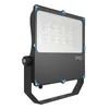 Grootschalige technische project Specifiek 100W LED-overstromingslicht