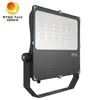 CE Gecertificeerde LED Schijnwerper IP66 100W LED Schijnwerper Buiten