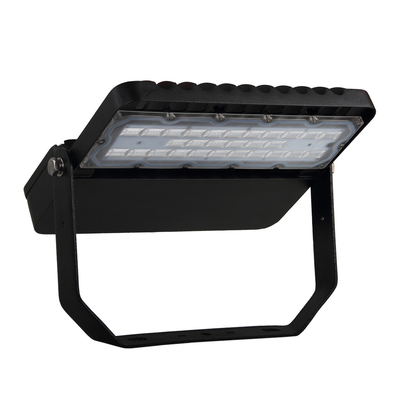 Hoge LEIDENE van het Lumenaluminium Straatlantaarnip65 100W MEANWELL Bestuurder AC 200-295V
