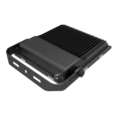 SMD2835 AC 180-300V 100 LEIDENE van Wattsdriverless Schijnwerper met 5 Jaar Garantie